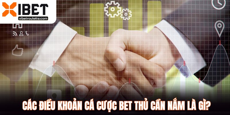 Các điều khoản cá cược bet thủ cần nắm là gì?