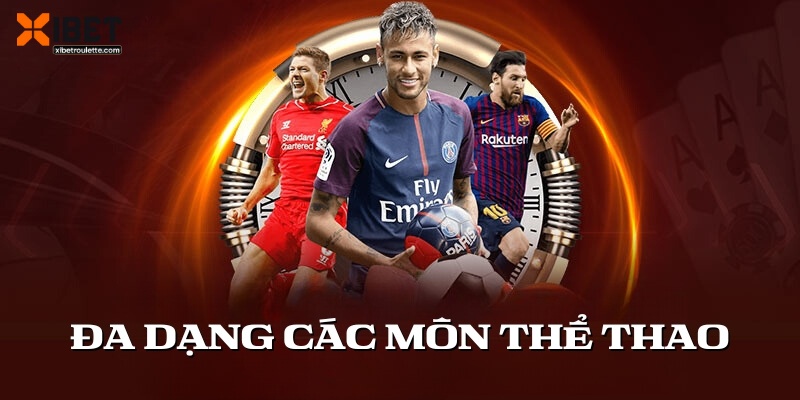 Theo dõi sát sao các yếu tố quan trọng để đặt cược hiệu quả